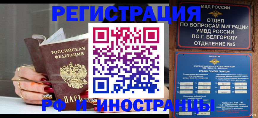 прописка в Нелидово